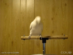 1425836278_1n4anue_5cdkt